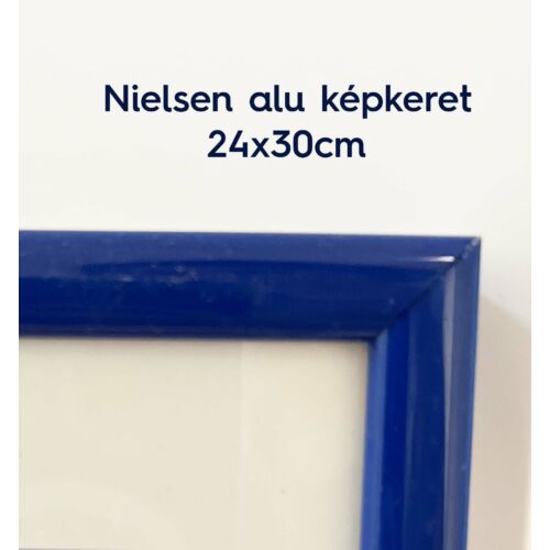 Nielsen keret - kék
